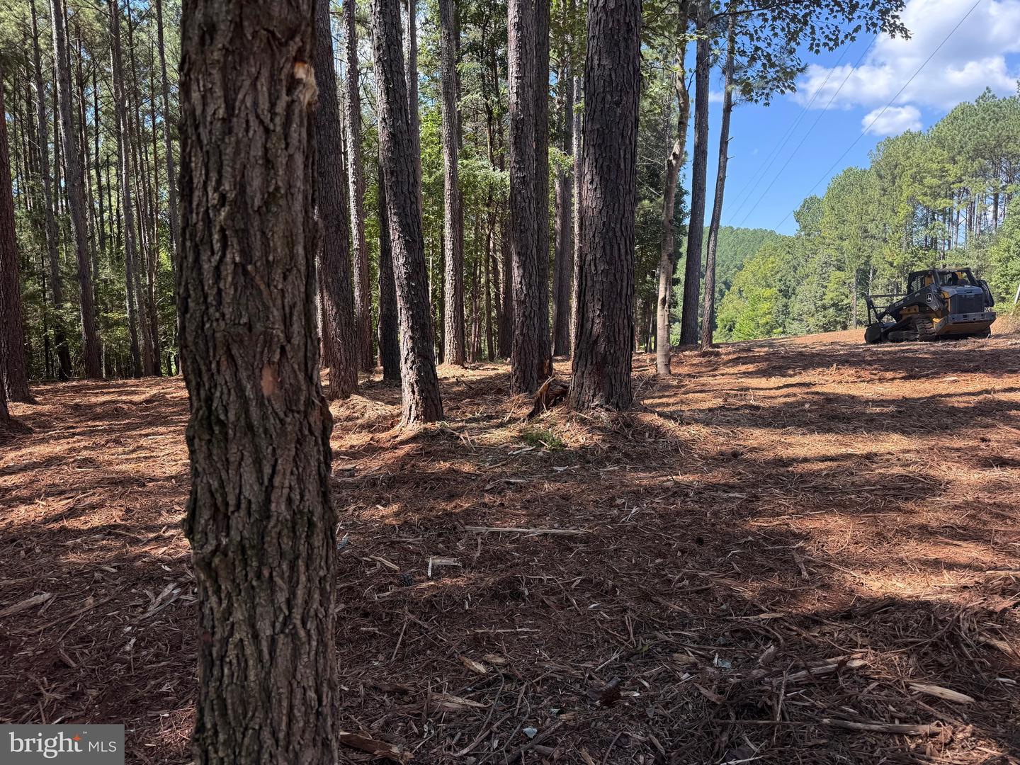 0 OLD GREEN MOUNTAIN RD, ESMONT, Virginia 22937, ,Land,For sale,0 OLD GREEN MOUNTAIN RD,VAAB2001096 MLS # VAAB2001096