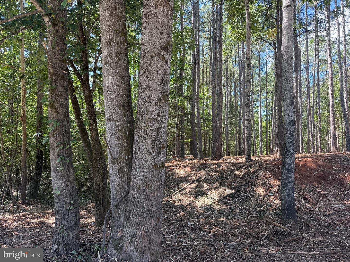 0 OLD GREEN MOUNTAIN RD, ESMONT, Virginia 22937, ,Land,For sale,0 OLD GREEN MOUNTAIN RD,VAAB2001096 MLS # VAAB2001096
