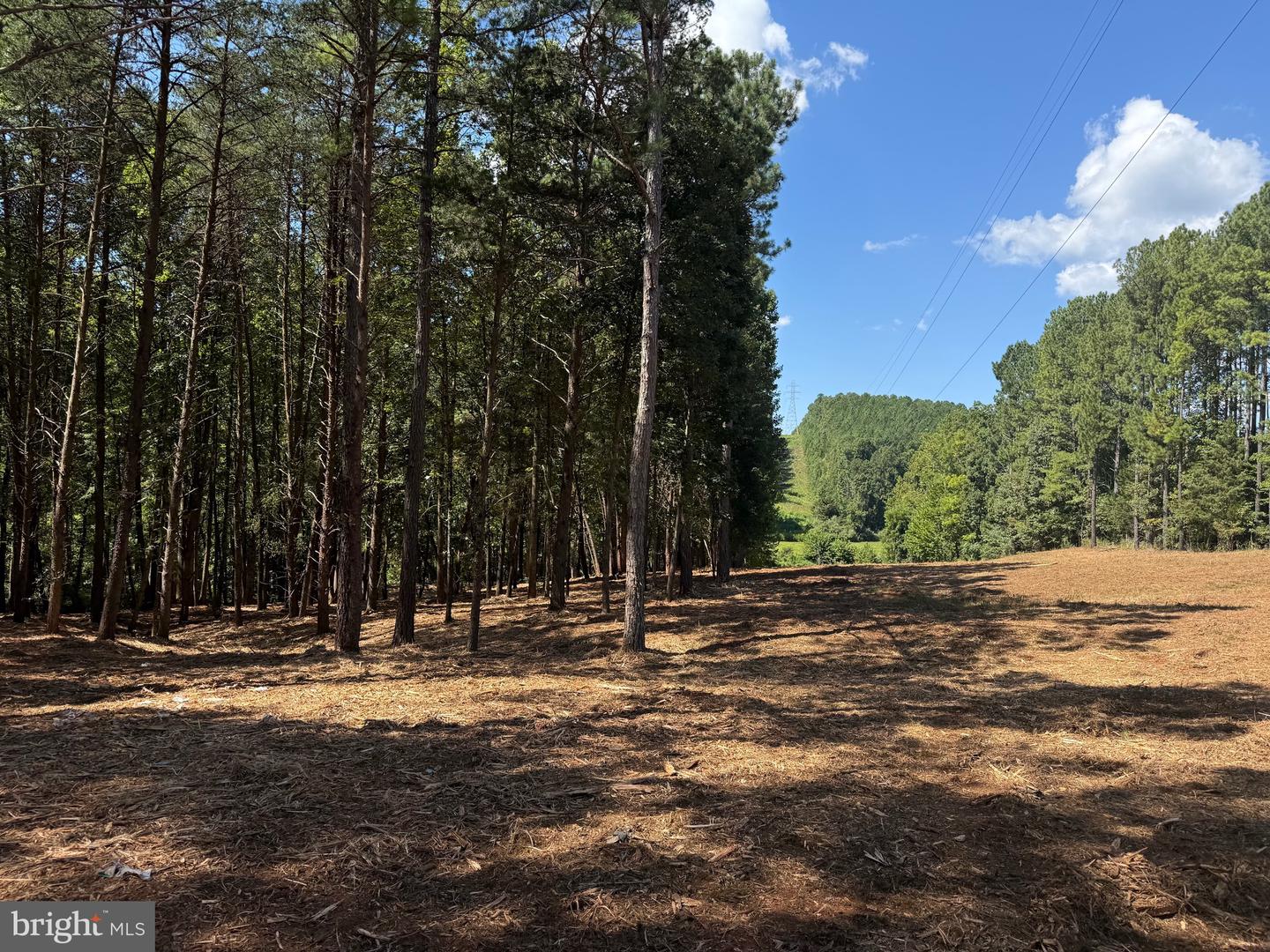 0 OLD GREEN MOUNTAIN RD, ESMONT, Virginia 22937, ,Land,For sale,0 OLD GREEN MOUNTAIN RD,VAAB2001096 MLS # VAAB2001096