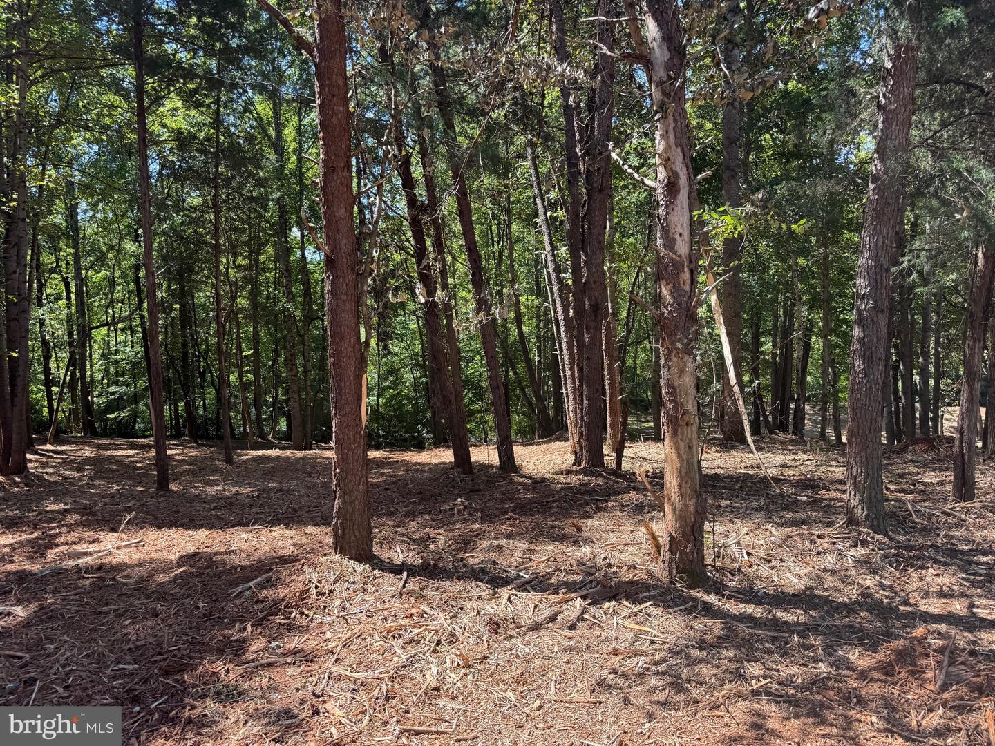 0 OLD GREEN MOUNTAIN RD, ESMONT, Virginia 22937, ,Land,For sale,0 OLD GREEN MOUNTAIN RD,VAAB2001096 MLS # VAAB2001096