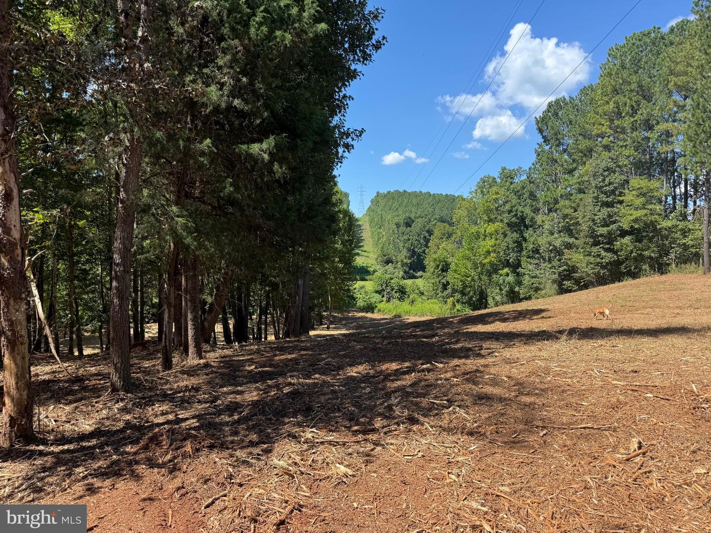 0 OLD GREEN MOUNTAIN RD, ESMONT, Virginia 22937, ,Land,For sale,0 OLD GREEN MOUNTAIN RD,VAAB2001096 MLS # VAAB2001096