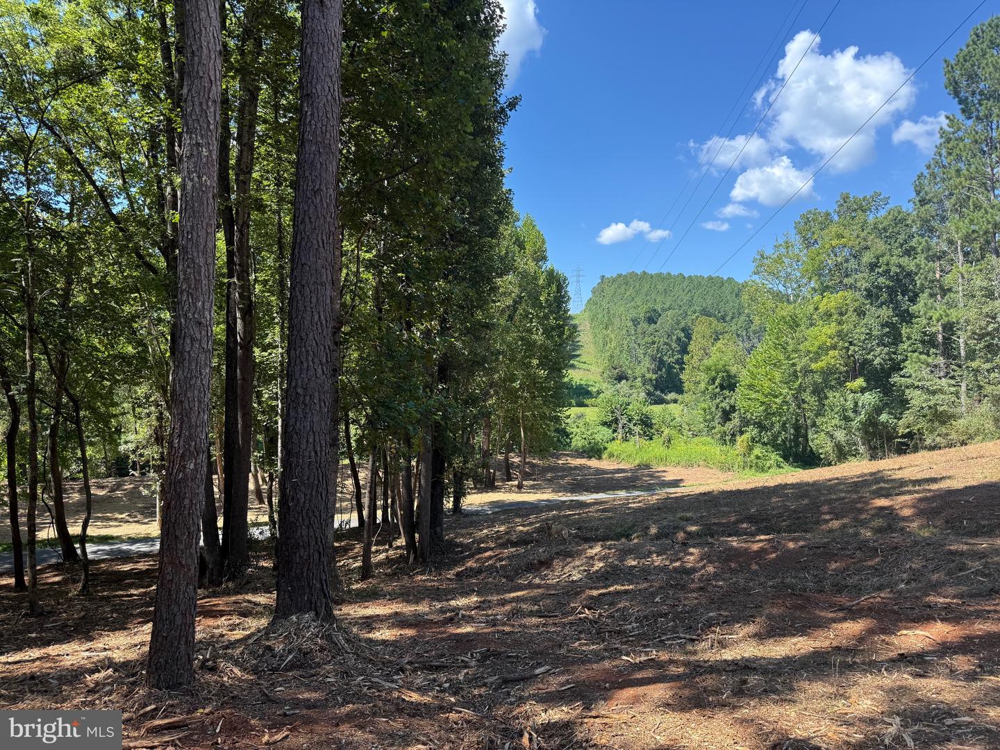 0 OLD GREEN MOUNTAIN RD, ESMONT, Virginia 22937, ,Land,For sale,0 OLD GREEN MOUNTAIN RD,VAAB2001096 MLS # VAAB2001096