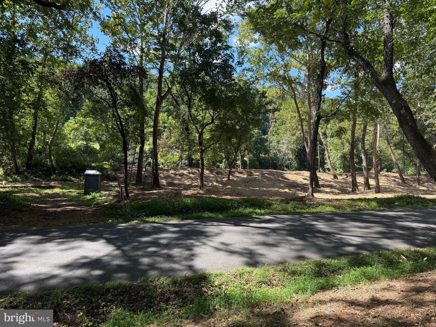 0 OLD GREEN MOUNTAIN RD, ESMONT, Virginia 22937, ,Land,For sale,0 OLD GREEN MOUNTAIN RD,VAAB2001096 MLS # VAAB2001096