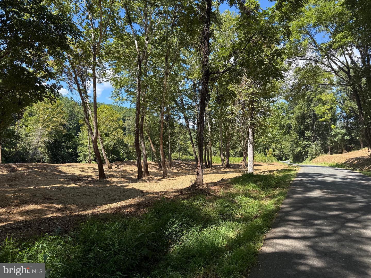 0 OLD GREEN MOUNTAIN RD, ESMONT, Virginia 22937, ,Land,For sale,0 OLD GREEN MOUNTAIN RD,VAAB2001096 MLS # VAAB2001096