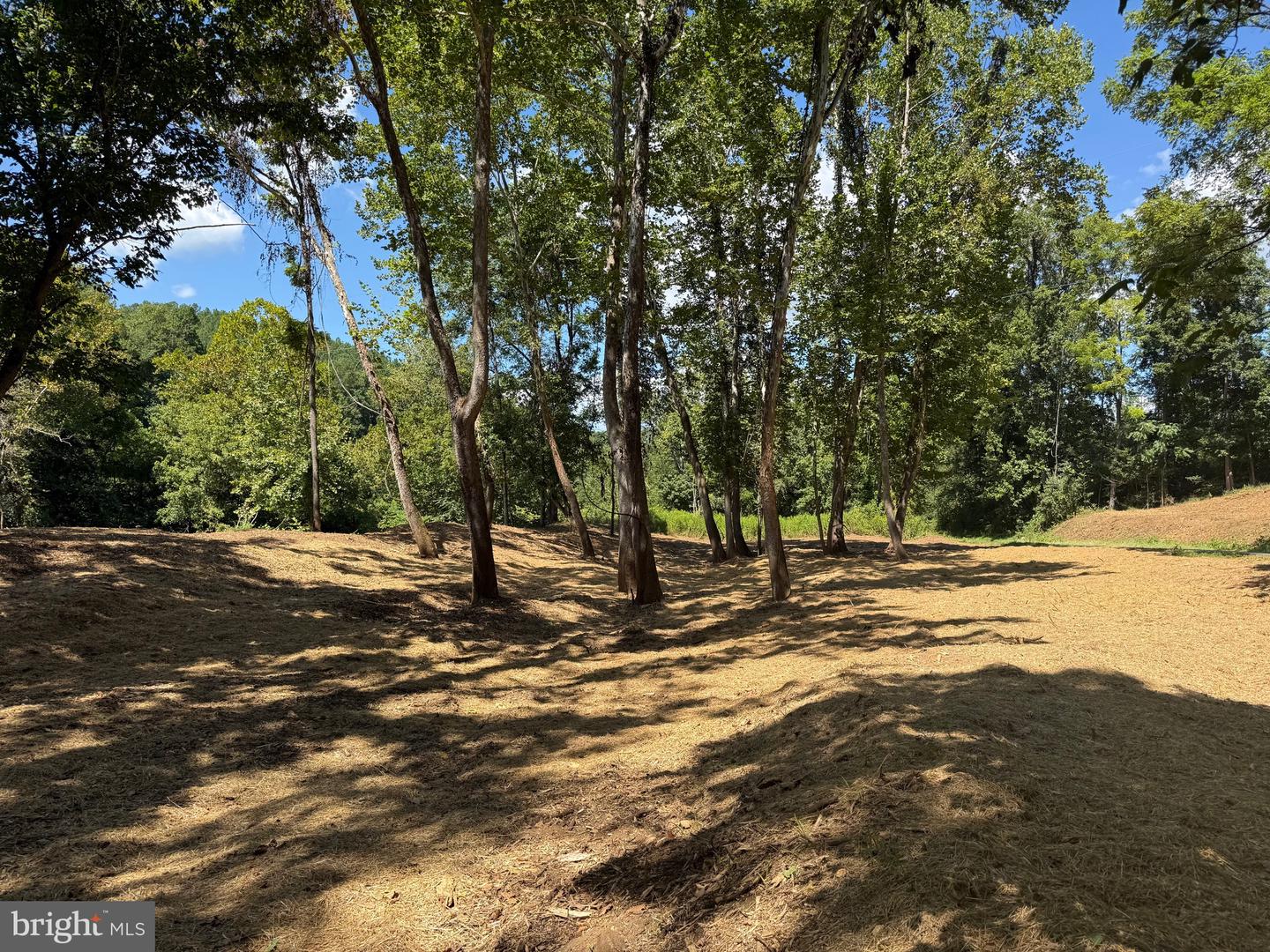 0 OLD GREEN MOUNTAIN RD, ESMONT, Virginia 22937, ,Land,For sale,0 OLD GREEN MOUNTAIN RD,VAAB2001096 MLS # VAAB2001096