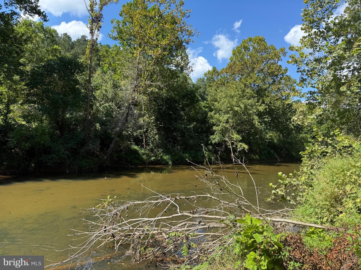 0 OLD GREEN MOUNTAIN RD, ESMONT, Virginia 22937, ,Land,For sale,0 OLD GREEN MOUNTAIN RD,VAAB2001096 MLS # VAAB2001096