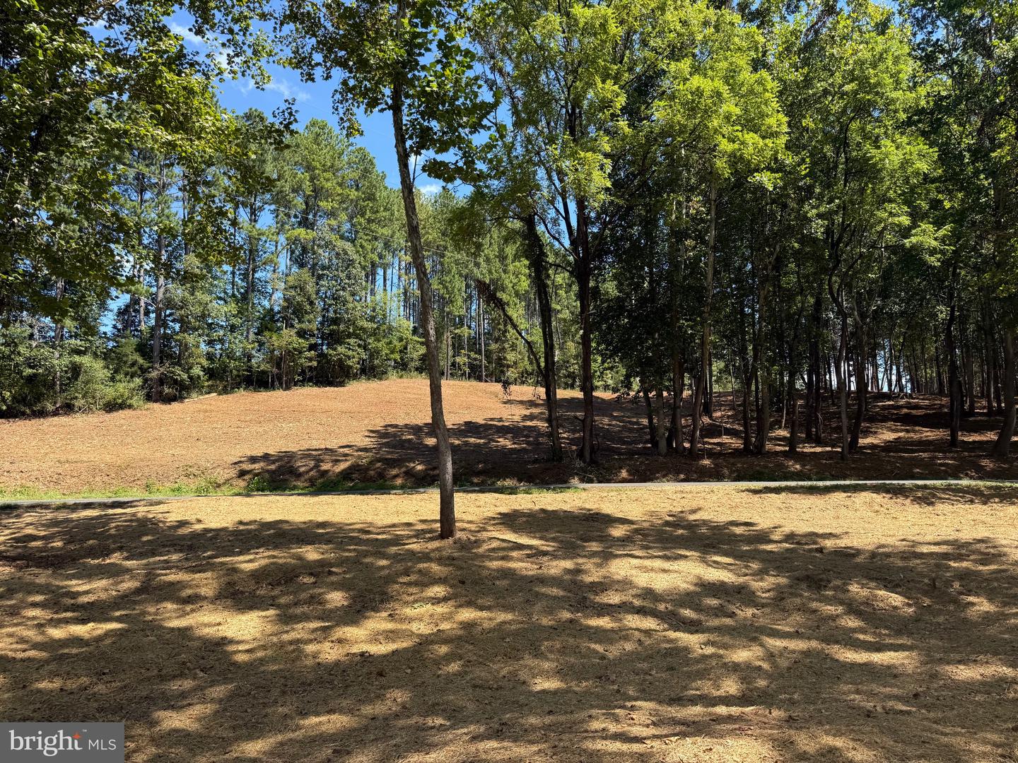 0 OLD GREEN MOUNTAIN RD, ESMONT, Virginia 22937, ,Land,For sale,0 OLD GREEN MOUNTAIN RD,VAAB2001096 MLS # VAAB2001096