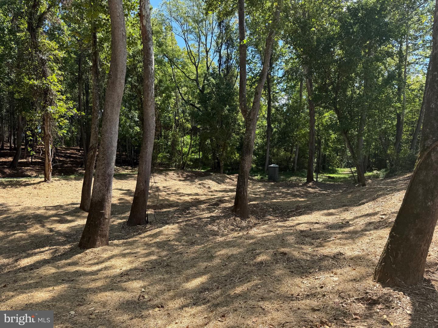 0 OLD GREEN MOUNTAIN RD, ESMONT, Virginia 22937, ,Land,For sale,0 OLD GREEN MOUNTAIN RD,VAAB2001096 MLS # VAAB2001096