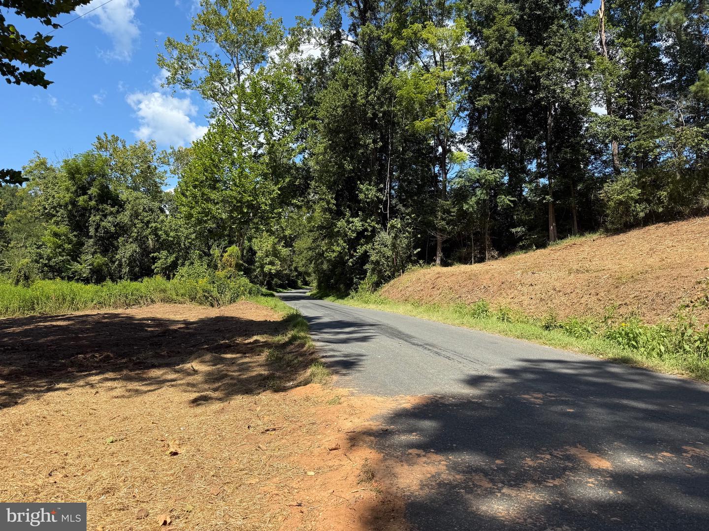 0 OLD GREEN MOUNTAIN RD, ESMONT, Virginia 22937, ,Land,For sale,0 OLD GREEN MOUNTAIN RD,VAAB2001096 MLS # VAAB2001096