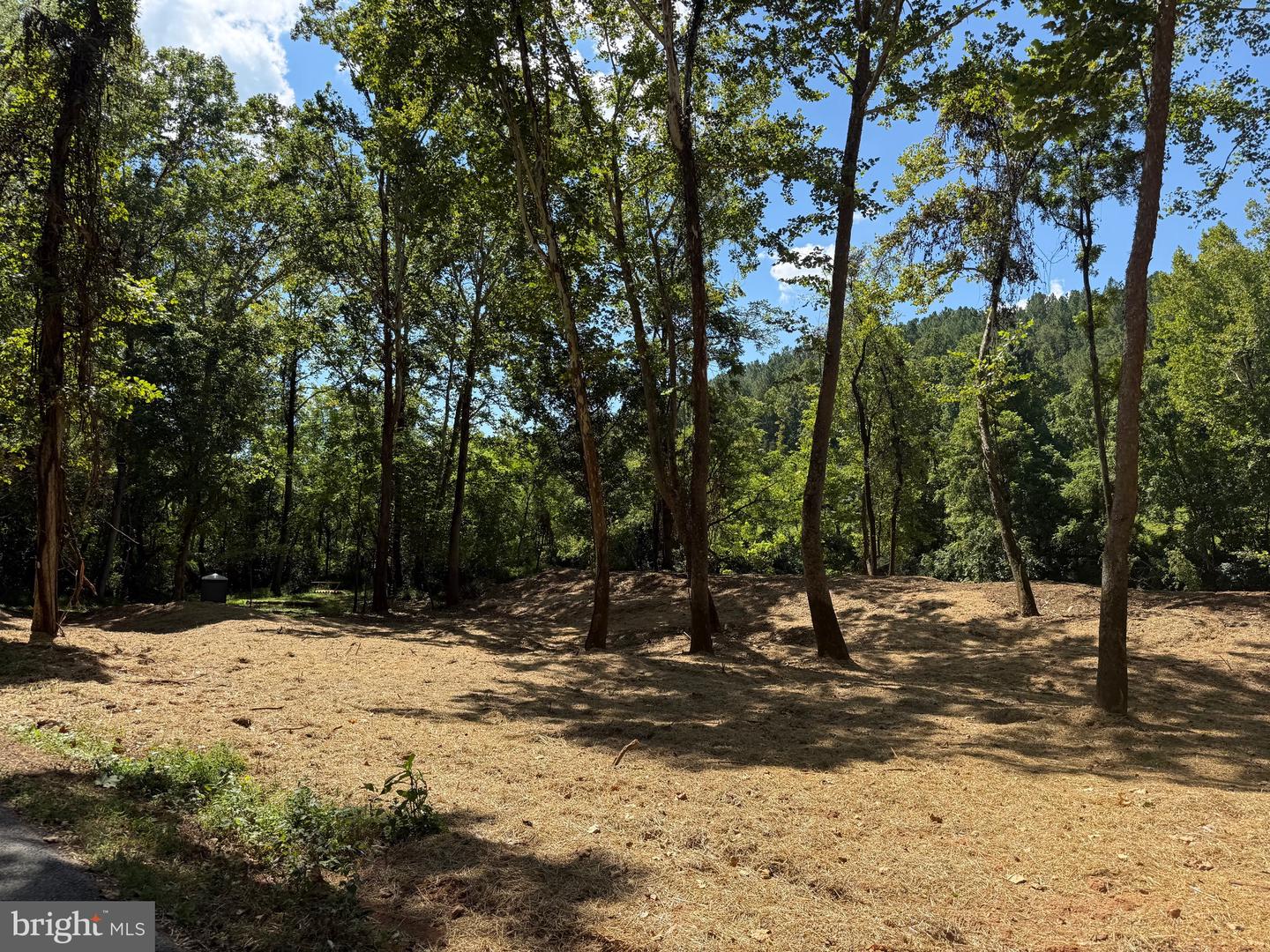 0 OLD GREEN MOUNTAIN RD, ESMONT, Virginia 22937, ,Land,For sale,0 OLD GREEN MOUNTAIN RD,VAAB2001096 MLS # VAAB2001096