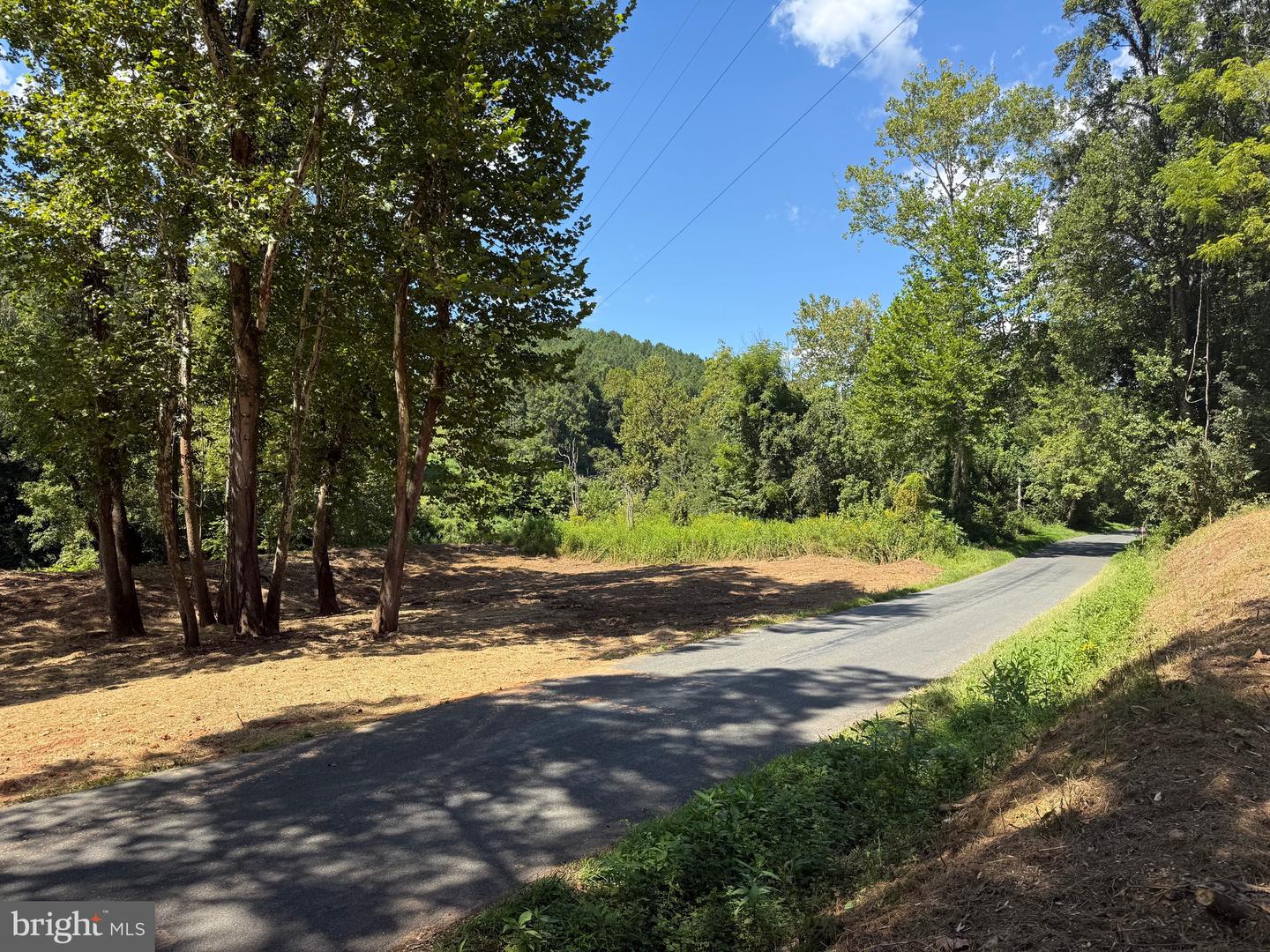 0 OLD GREEN MOUNTAIN RD, ESMONT, Virginia 22937, ,Land,For sale,0 OLD GREEN MOUNTAIN RD,VAAB2001096 MLS # VAAB2001096