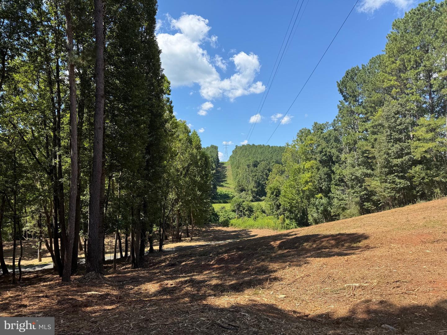 0 OLD GREEN MOUNTAIN RD, ESMONT, Virginia 22937, ,Land,For sale,0 OLD GREEN MOUNTAIN RD,VAAB2001096 MLS # VAAB2001096