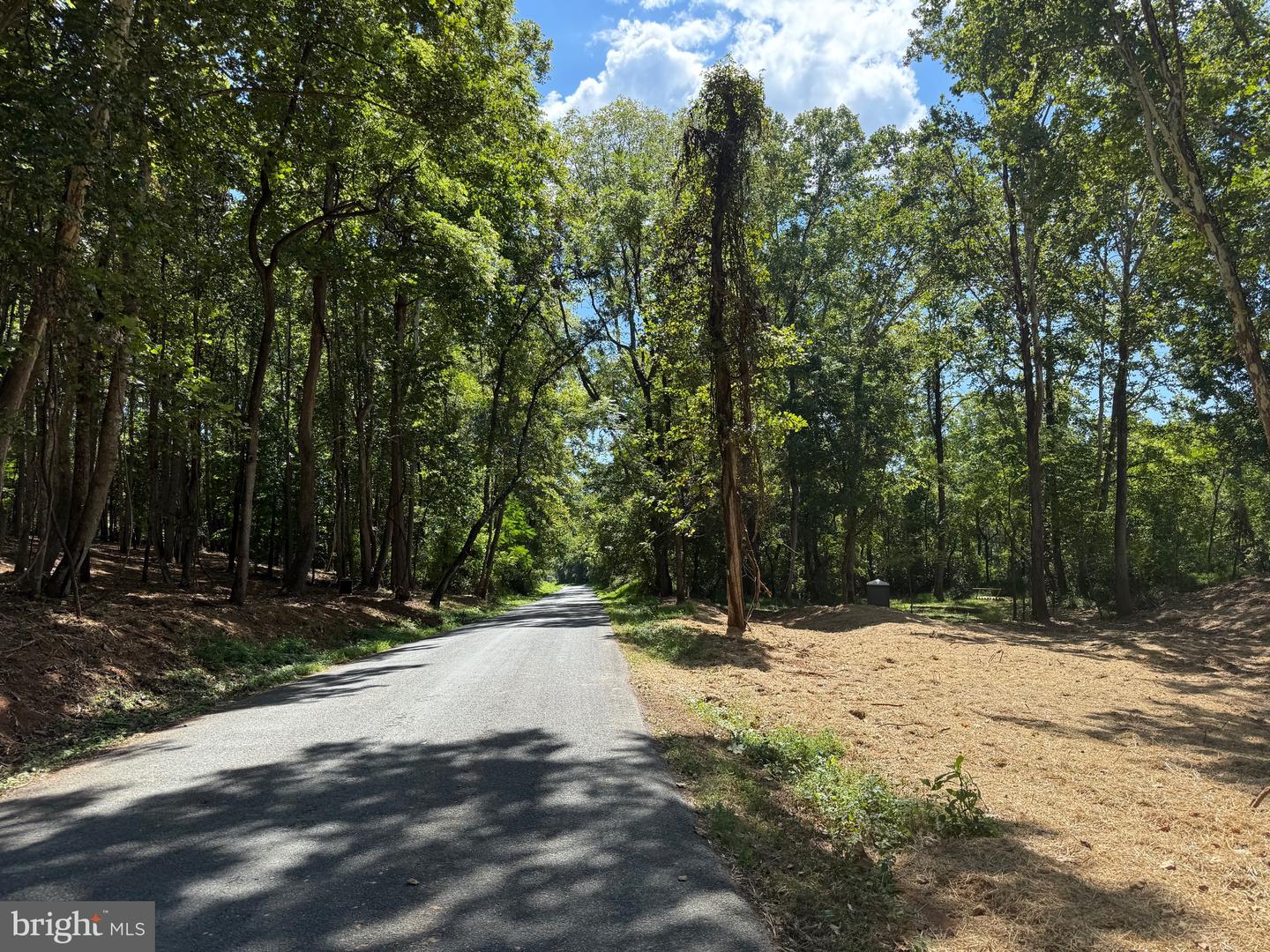 0 OLD GREEN MOUNTAIN RD, ESMONT, Virginia 22937, ,Land,For sale,0 OLD GREEN MOUNTAIN RD,VAAB2001096 MLS # VAAB2001096