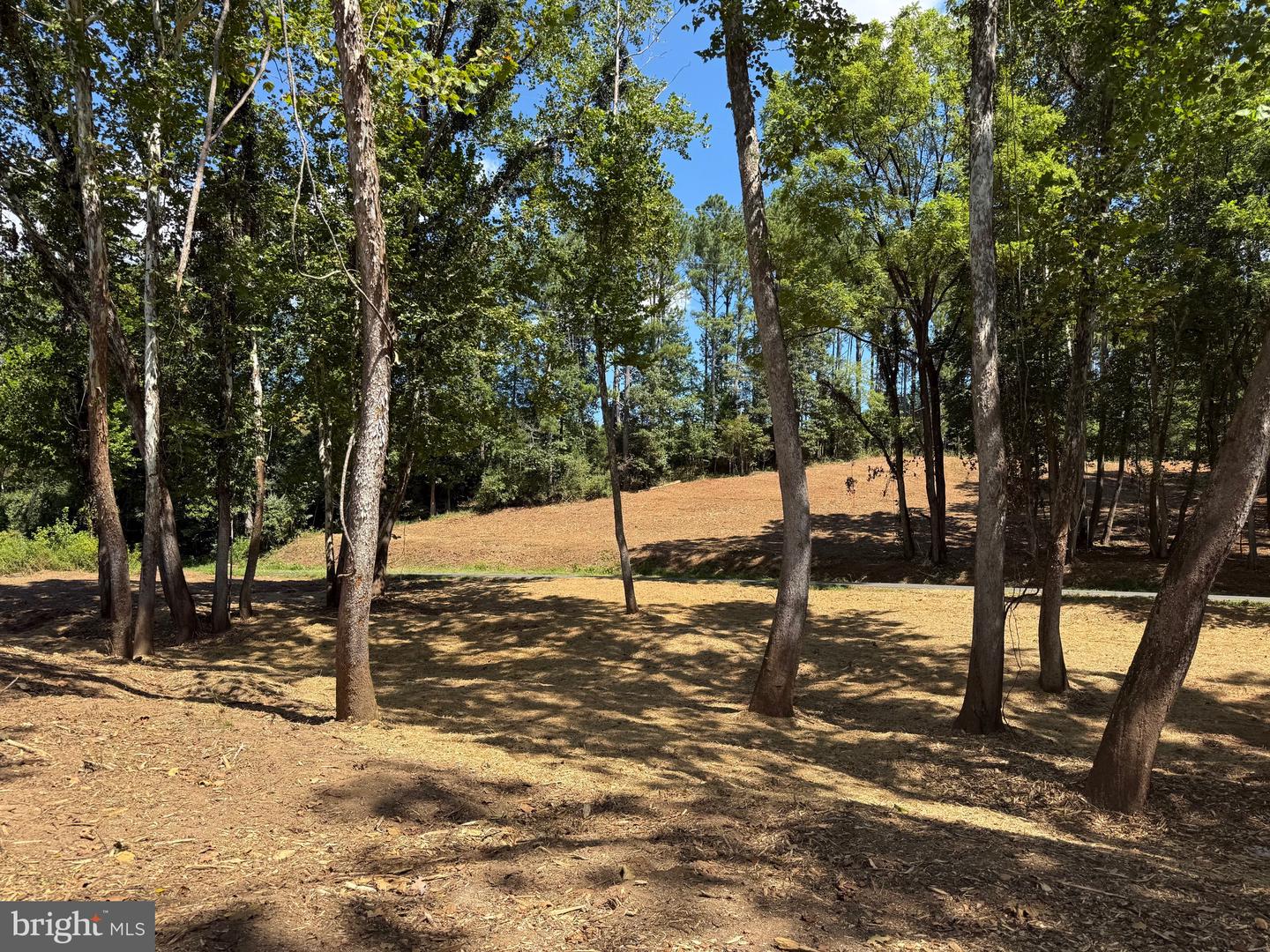 0 OLD GREEN MOUNTAIN RD, ESMONT, Virginia 22937, ,Land,For sale,0 OLD GREEN MOUNTAIN RD,VAAB2001096 MLS # VAAB2001096