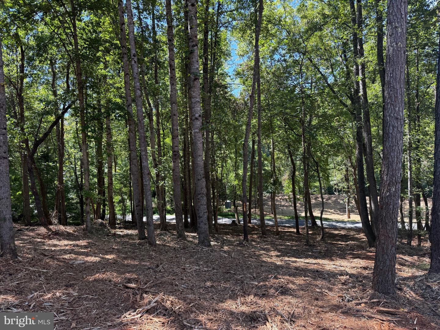 0 OLD GREEN MOUNTAIN RD, ESMONT, Virginia 22937, ,Land,For sale,0 OLD GREEN MOUNTAIN RD,VAAB2001096 MLS # VAAB2001096