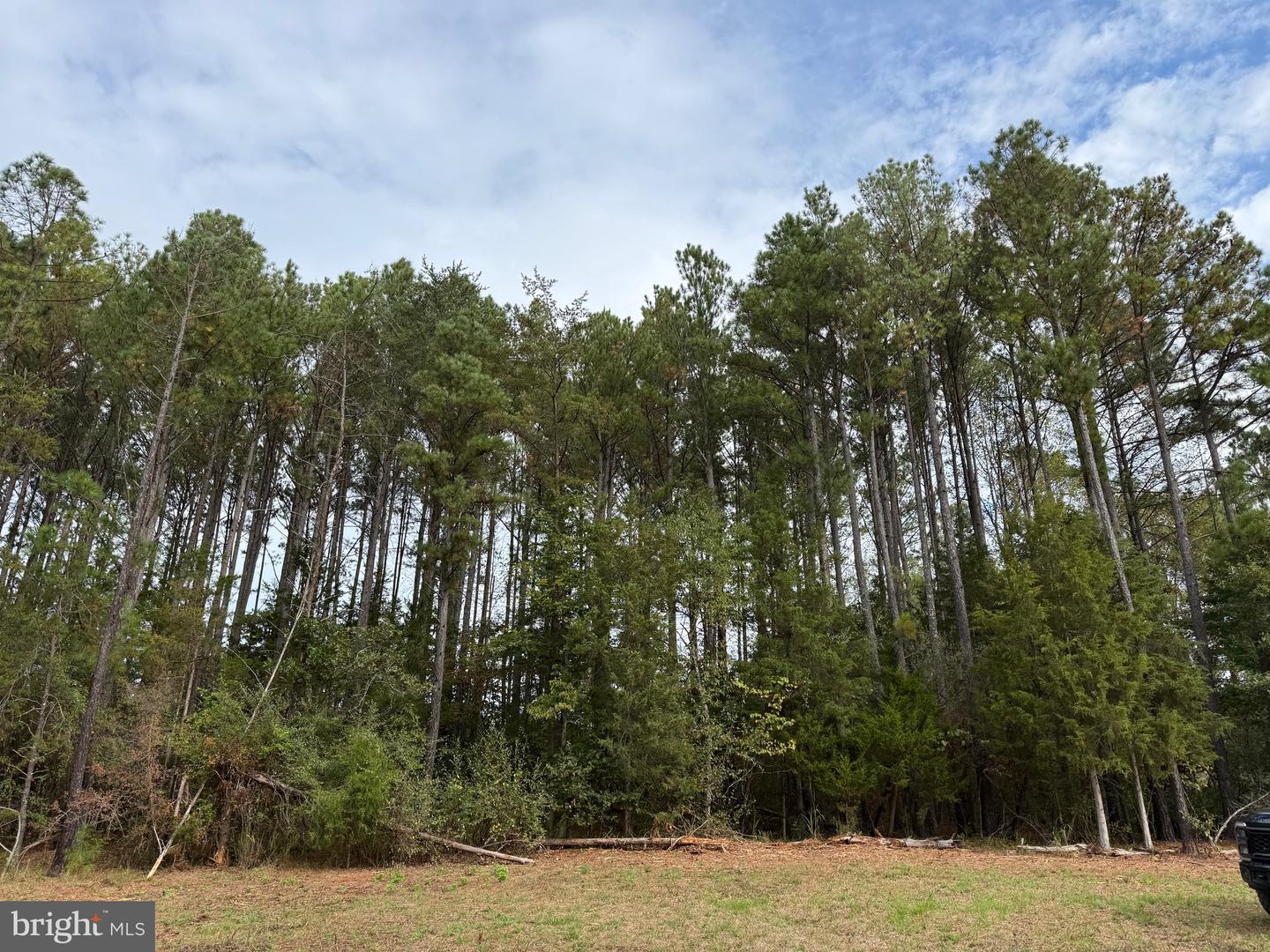 0 OLD GREEN MOUNTAIN RD, ESMONT, Virginia 22937, ,Land,For sale,0 OLD GREEN MOUNTAIN RD,VAAB2001096 MLS # VAAB2001096