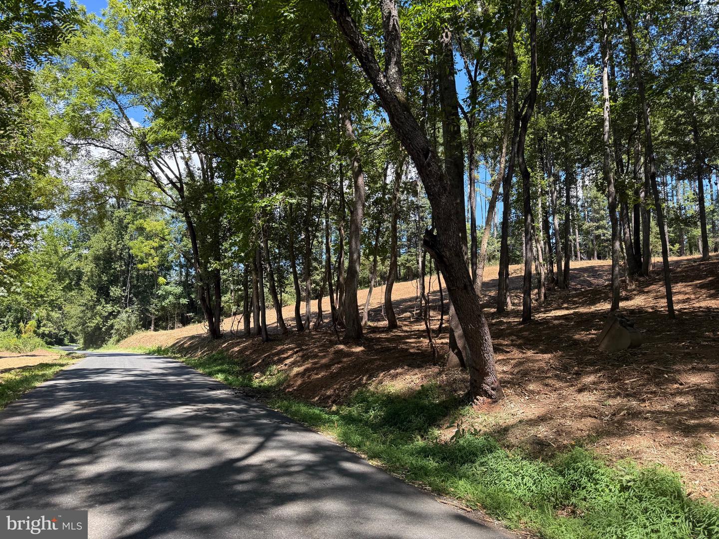 0 OLD GREEN MOUNTAIN RD, ESMONT, Virginia 22937, ,Land,For sale,0 OLD GREEN MOUNTAIN RD,VAAB2001096 MLS # VAAB2001096