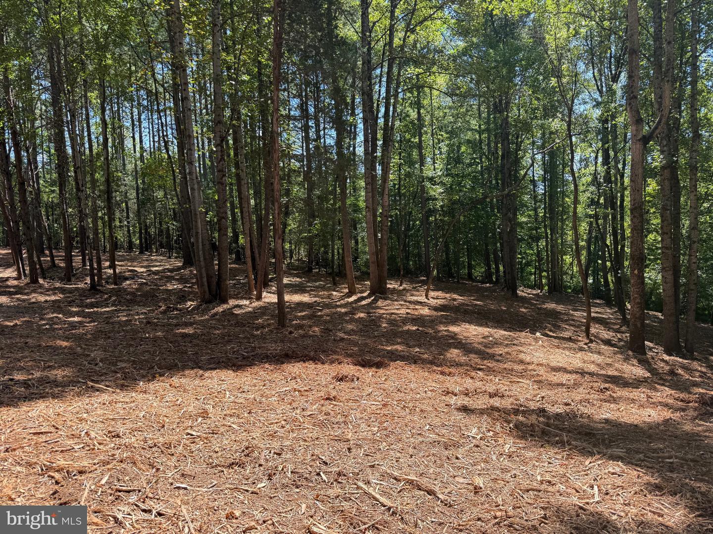 0 OLD GREEN MOUNTAIN RD, ESMONT, Virginia 22937, ,Land,For sale,0 OLD GREEN MOUNTAIN RD,VAAB2001096 MLS # VAAB2001096