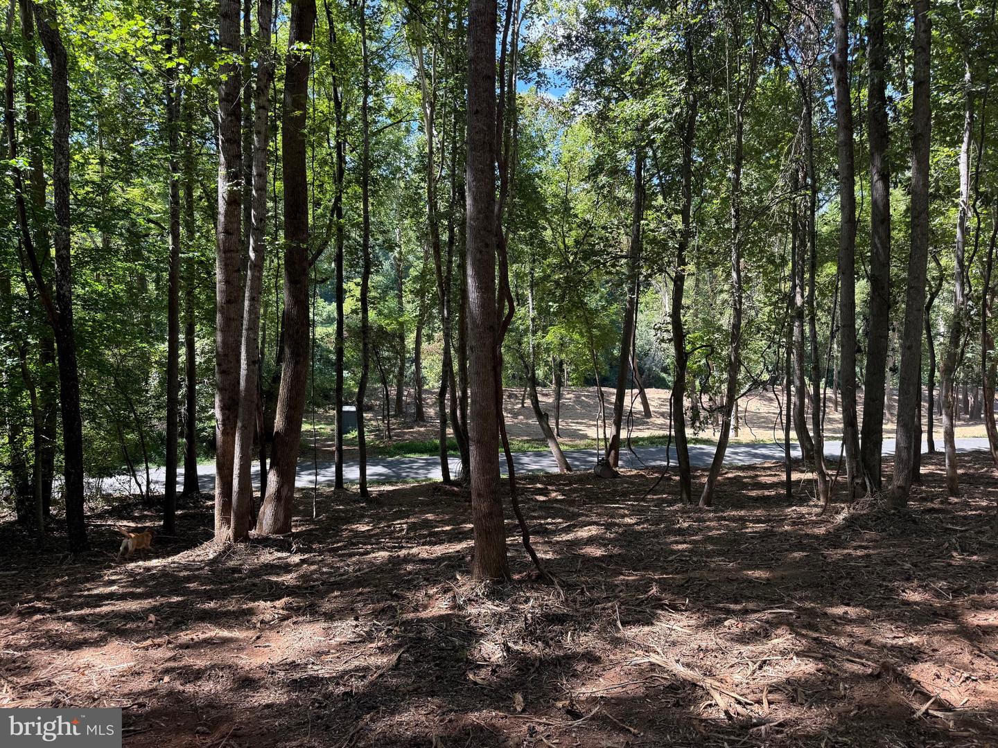 0 OLD GREEN MOUNTAIN RD, ESMONT, Virginia 22937, ,Land,For sale,0 OLD GREEN MOUNTAIN RD,VAAB2001096 MLS # VAAB2001096