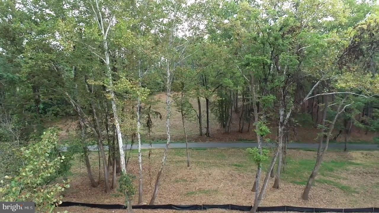 0 OLD GREEN MOUNTAIN RD, ESMONT, Virginia 22937, ,Land,For sale,0 OLD GREEN MOUNTAIN RD,VAAB2001096 MLS # VAAB2001096