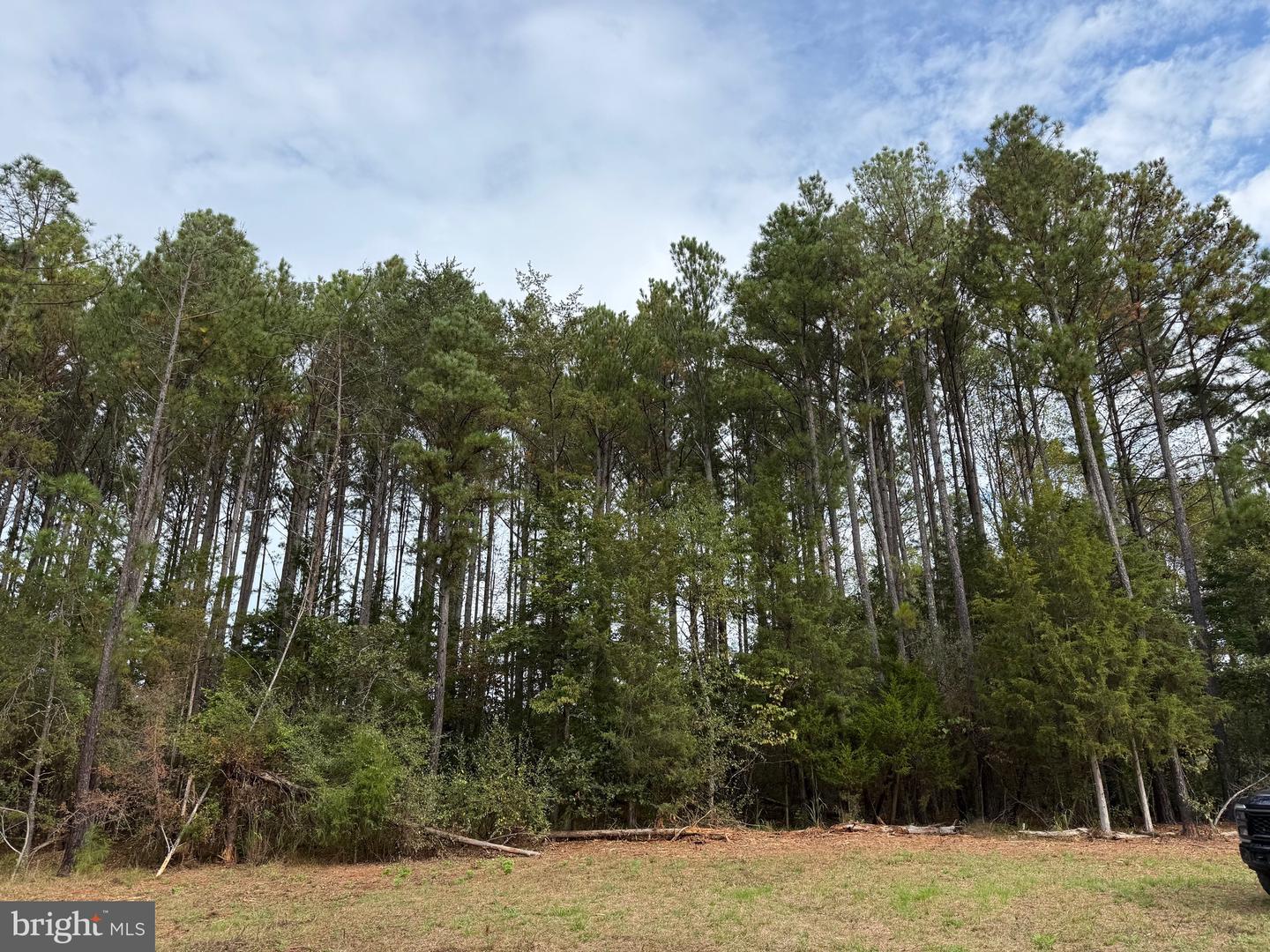 0 OLD GREEN MOUNTAIN RD, ESMONT, Virginia 22937, ,Land,For sale,0 OLD GREEN MOUNTAIN RD,VAAB2001096 MLS # VAAB2001096