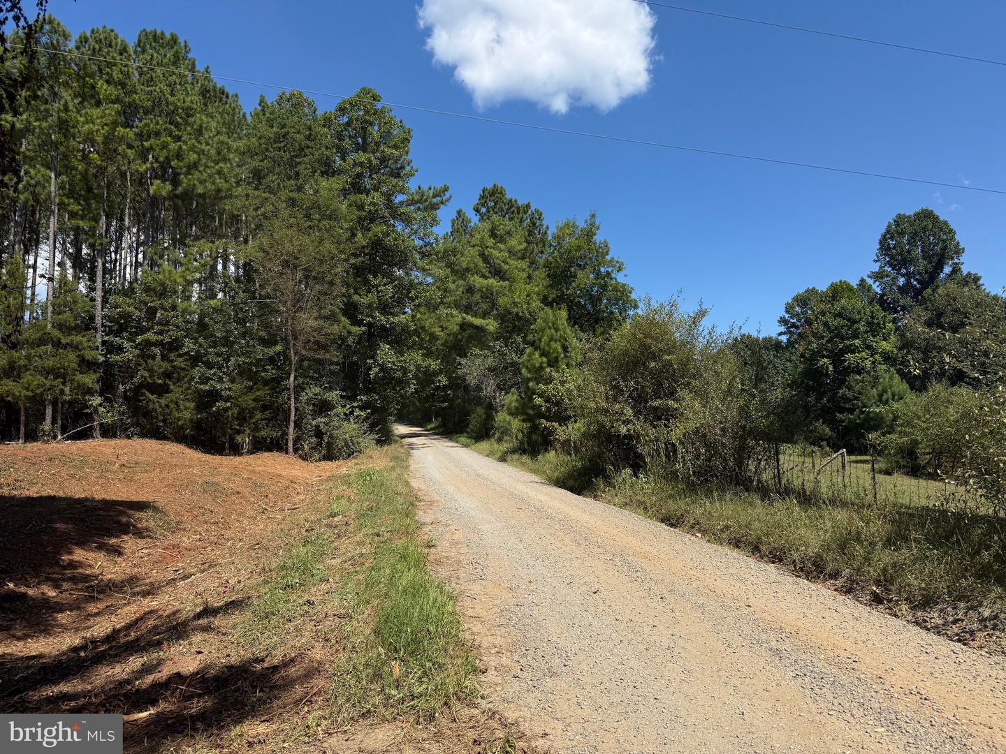 0 OLD GREEN MOUNTAIN RD, ESMONT, Virginia 22937, ,Land,For sale,0 OLD GREEN MOUNTAIN RD,VAAB2001096 MLS # VAAB2001096