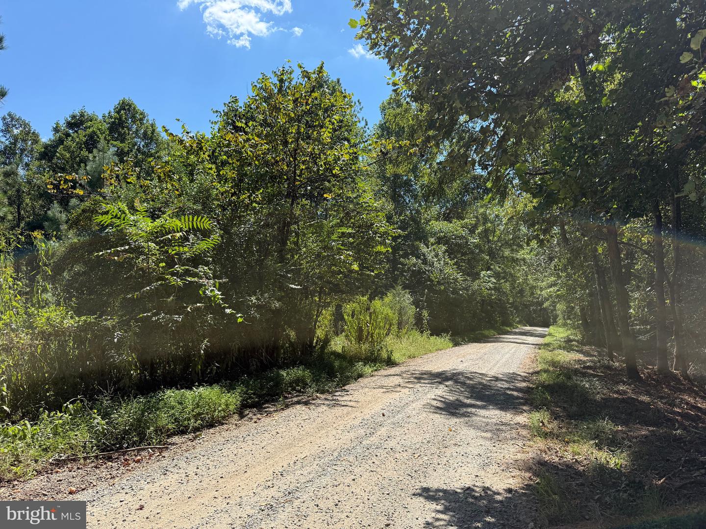 0 OLD GREEN MOUNTAIN RD, ESMONT, Virginia 22937, ,Land,For sale,0 OLD GREEN MOUNTAIN RD,VAAB2001096 MLS # VAAB2001096