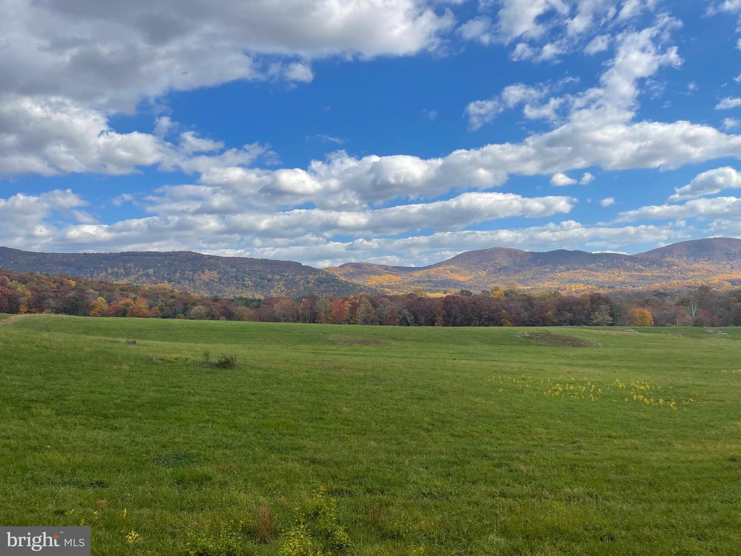 LOT 9 BUCK MOUNTAIN RD, BENTONVILLE, Virginia 22610, ,Land,For sale,LOT 9 BUCK MOUNTAIN RD,VAWR2012446 MLS # VAWR2012446