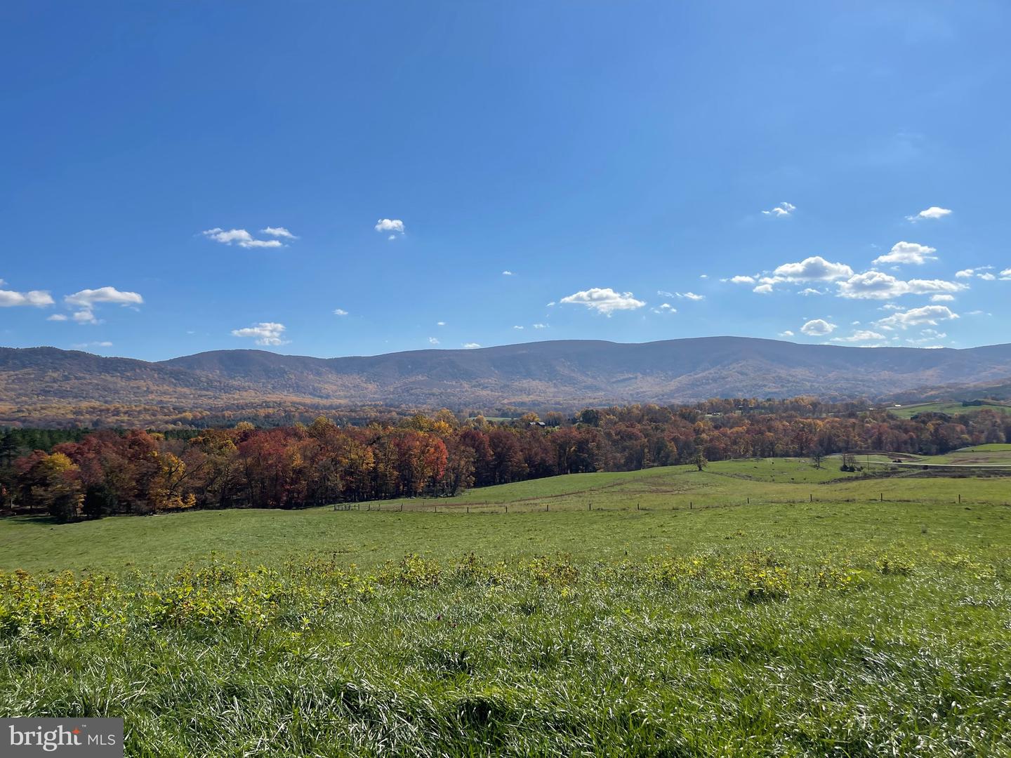 LOT 9 BUCK MOUNTAIN RD, BENTONVILLE, Virginia 22610, ,Land,For sale,LOT 9 BUCK MOUNTAIN RD,VAWR2012446 MLS # VAWR2012446