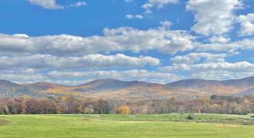 LOT 9 BUCK MOUNTAIN RD, BENTONVILLE, Virginia 22610, ,Land,For sale,LOT 9 BUCK MOUNTAIN RD,VAWR2012446 MLS # VAWR2012446