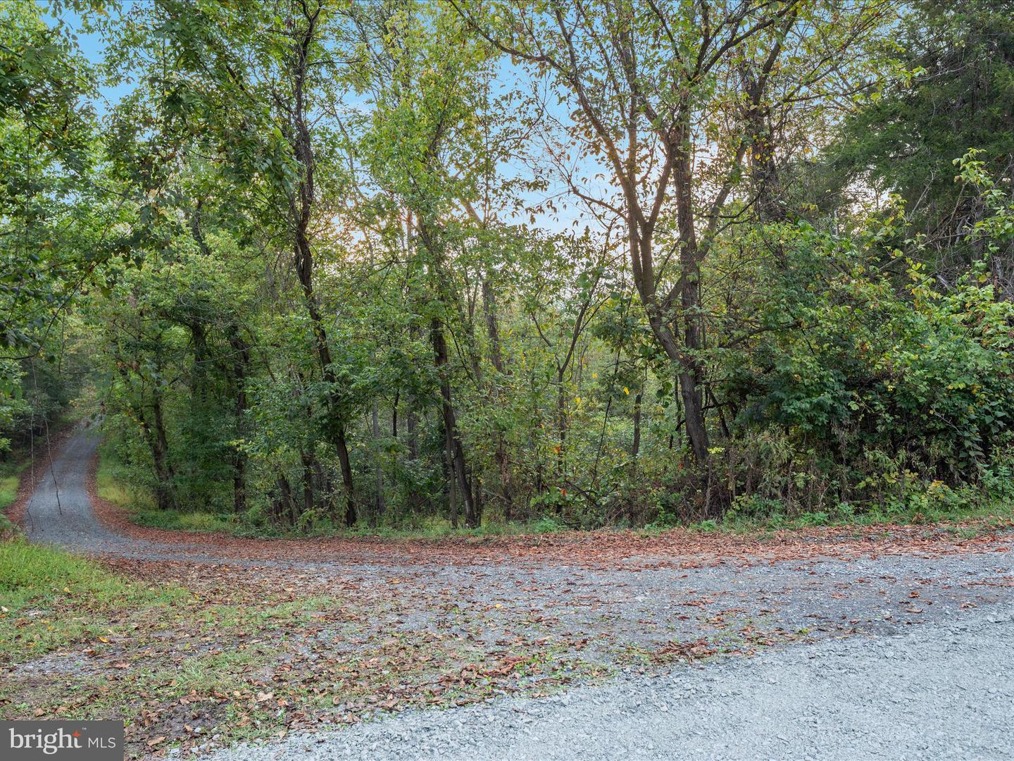 200 COLWOOD DR, RILEYVILLE, Virginia 22650, ,Land,For sale,200 COLWOOD DR,VAPA2005426 MLS # VAPA2005426