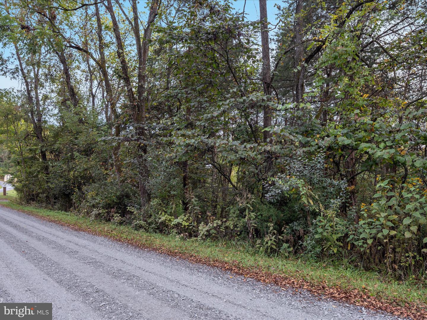 200 COLWOOD DR, RILEYVILLE, Virginia 22650, ,Land,For sale,200 COLWOOD DR,VAPA2005426 MLS # VAPA2005426