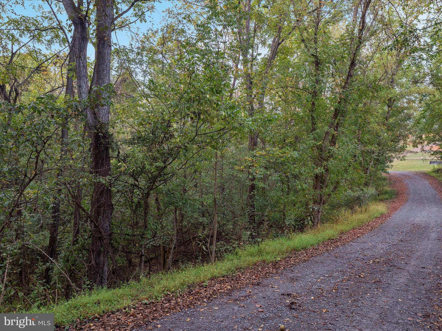200 COLWOOD DR, RILEYVILLE, Virginia 22650, ,Land,For sale,200 COLWOOD DR,VAPA2005426 MLS # VAPA2005426