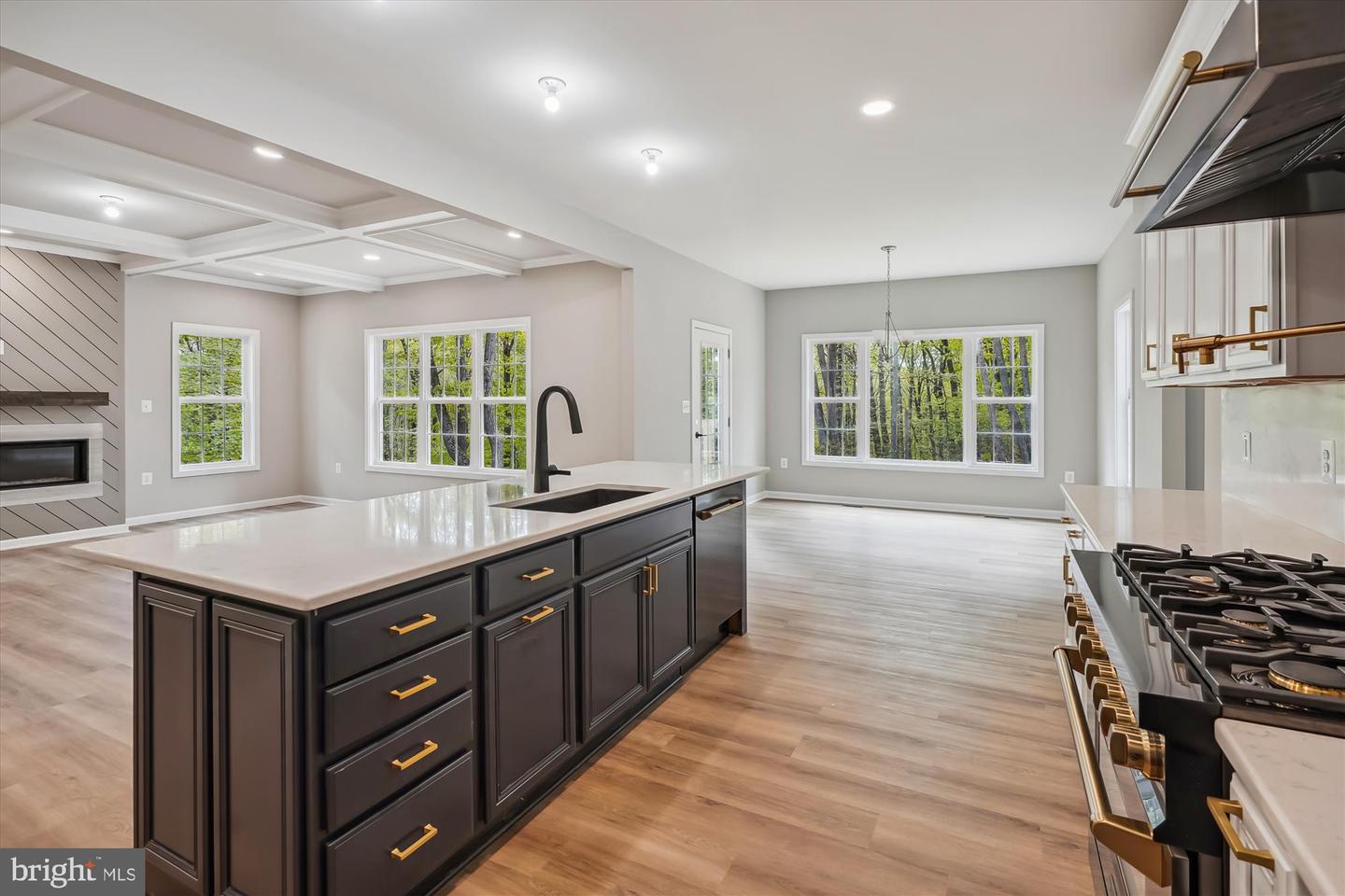 LOT 2 EGGBORNSVILLE RD, RIXEYVILLE, Virginia 22737, 4 Bedrooms Bedrooms, ,3 BathroomsBathrooms,Residential,For sale,LOT 2 EGGBORNSVILLE RD,VACU2011622 MLS # VACU2011622