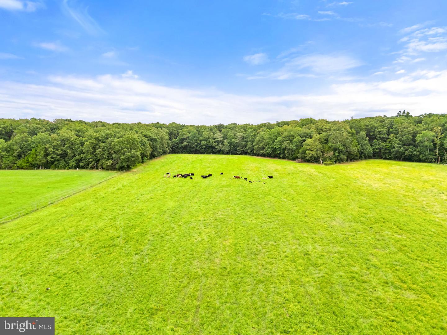 5364 WOODSIDE LN, BEALETON, Virginia 22712, 3 Bedrooms Bedrooms, ,1 BathroomBathrooms,Residential,For sale,5364 WOODSIDE LN,VAFQ2018422 MLS # VAFQ2018422