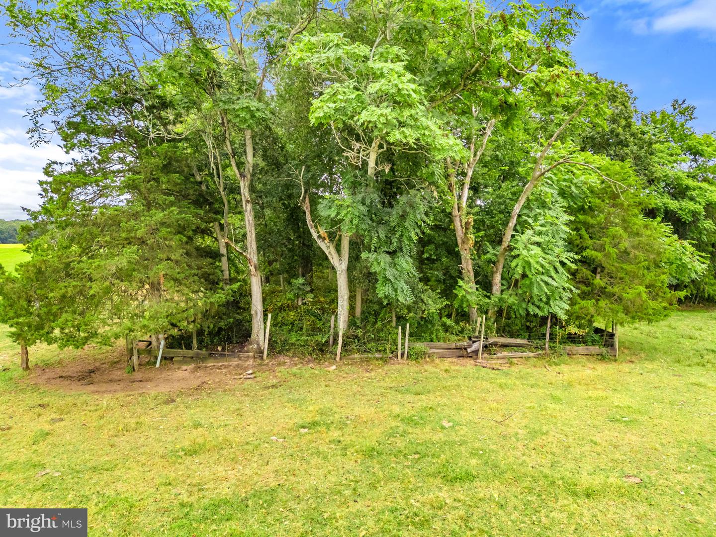 5474 WOODSIDE LN, BEALETON, Virginia 22712, 3 Bedrooms Bedrooms, ,2 BathroomsBathrooms,Farm,For sale,5474 WOODSIDE LN,VAFQ2018414 MLS # VAFQ2018414