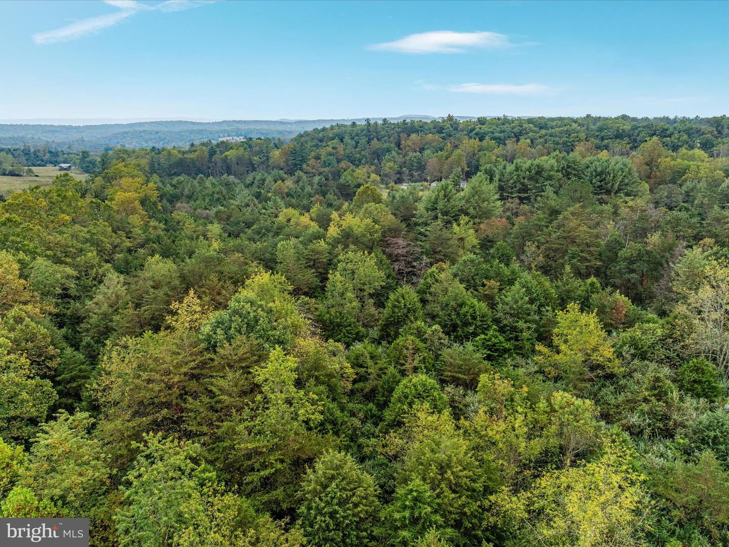 0 DELLINGER GAP RD, EDINBURG, Virginia 22824, ,Land,For sale,0 DELLINGER GAP RD,VASH2012656 MLS # VASH2012656