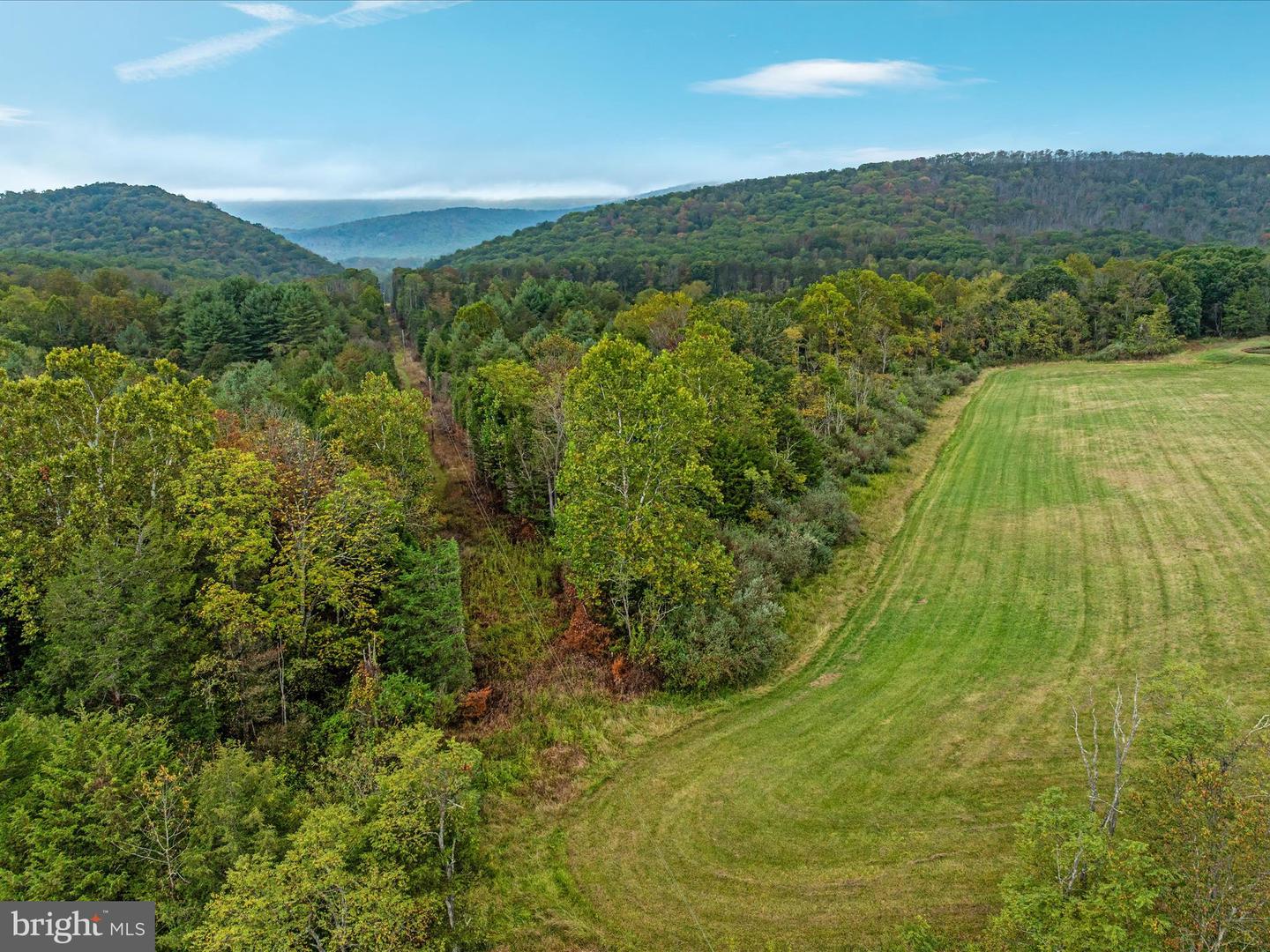 0 DELLINGER GAP RD, EDINBURG, Virginia 22824, ,Land,For sale,0 DELLINGER GAP RD,VASH2012656 MLS # VASH2012656