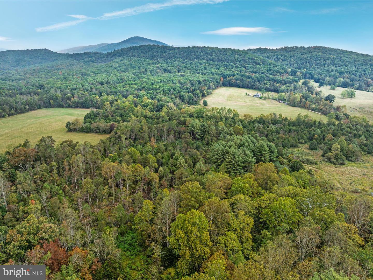 0 DELLINGER GAP RD, EDINBURG, Virginia 22824, ,Land,For sale,0 DELLINGER GAP RD,VASH2012656 MLS # VASH2012656