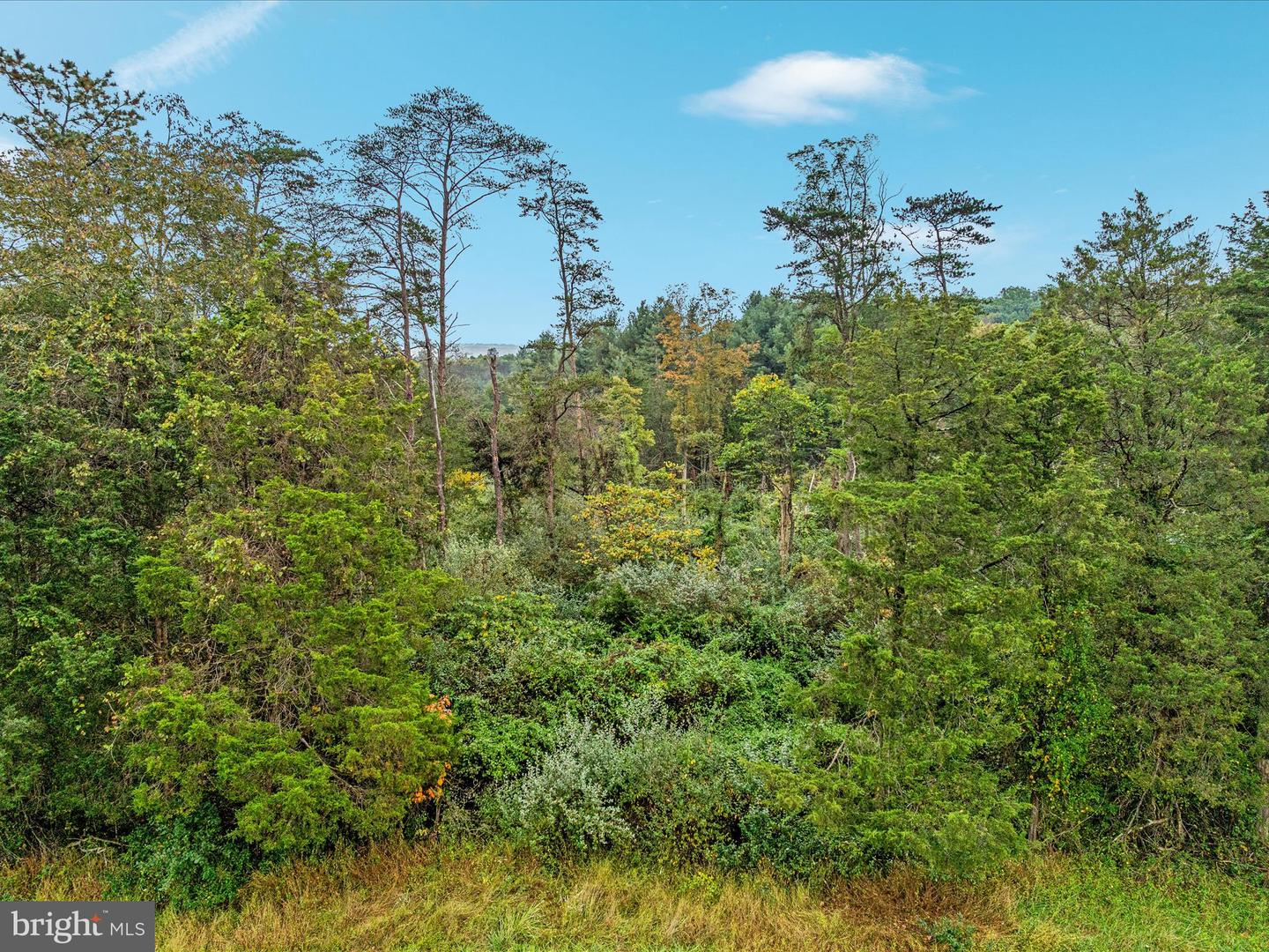 0 DELLINGER GAP RD, EDINBURG, Virginia 22824, ,Land,For sale,0 DELLINGER GAP RD,VASH2012656 MLS # VASH2012656