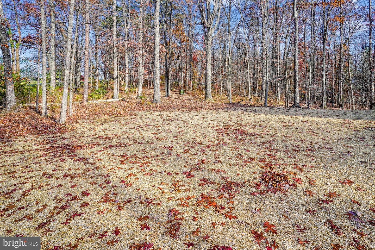 LOT 1 NORMAN RD, CULPEPER, Virginia 22701, 3 Bedrooms Bedrooms, ,2 BathroomsBathrooms,Residential,For sale,LOT 1 NORMAN RD,VACU2011680 MLS # VACU2011680