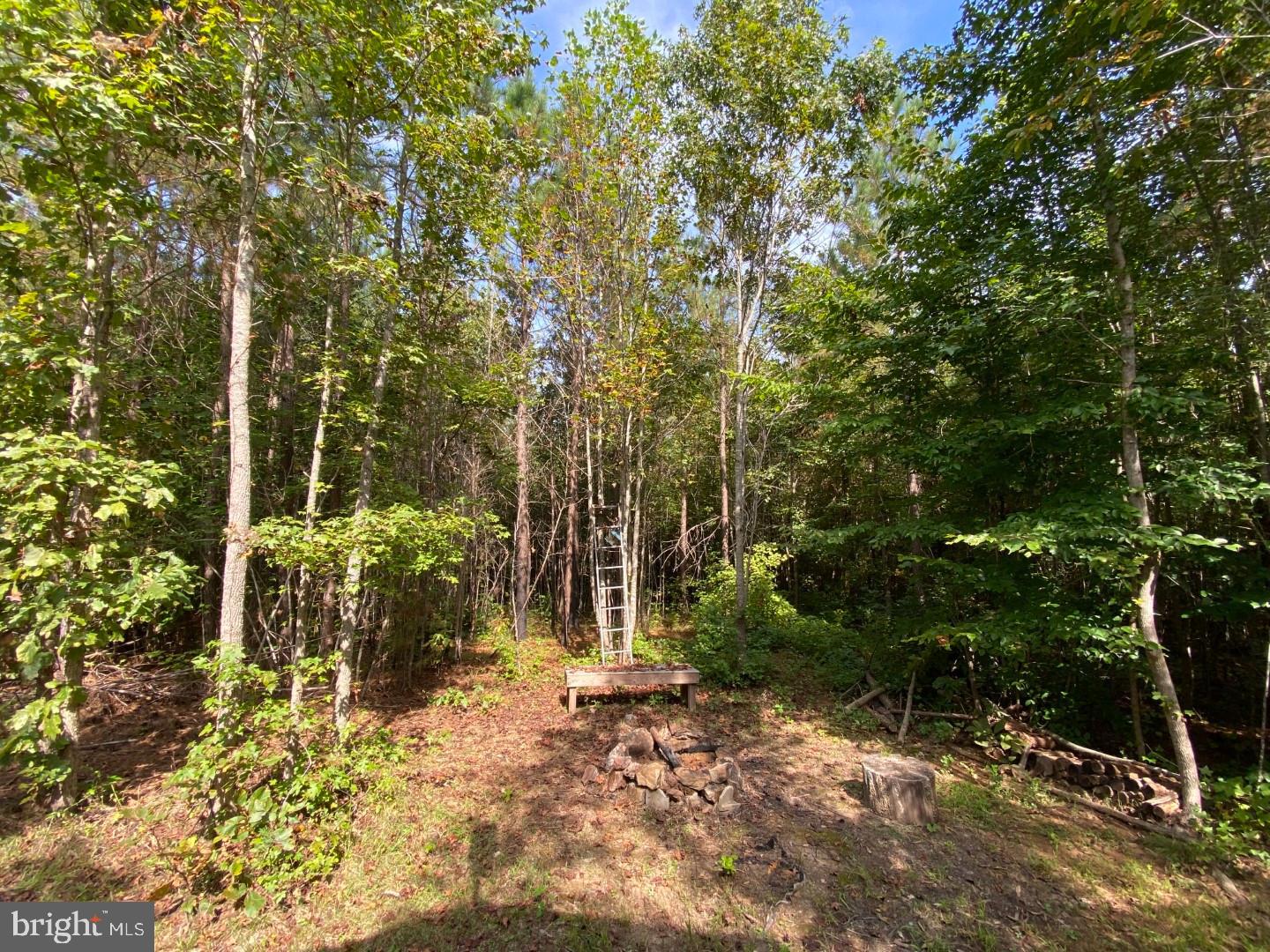 684 SQUIRREL HOLLOW RD, ALBERTA, Virginia 23821, ,Land,For sale,684 SQUIRREL HOLLOW RD,VABW2000088 MLS # VABW2000088