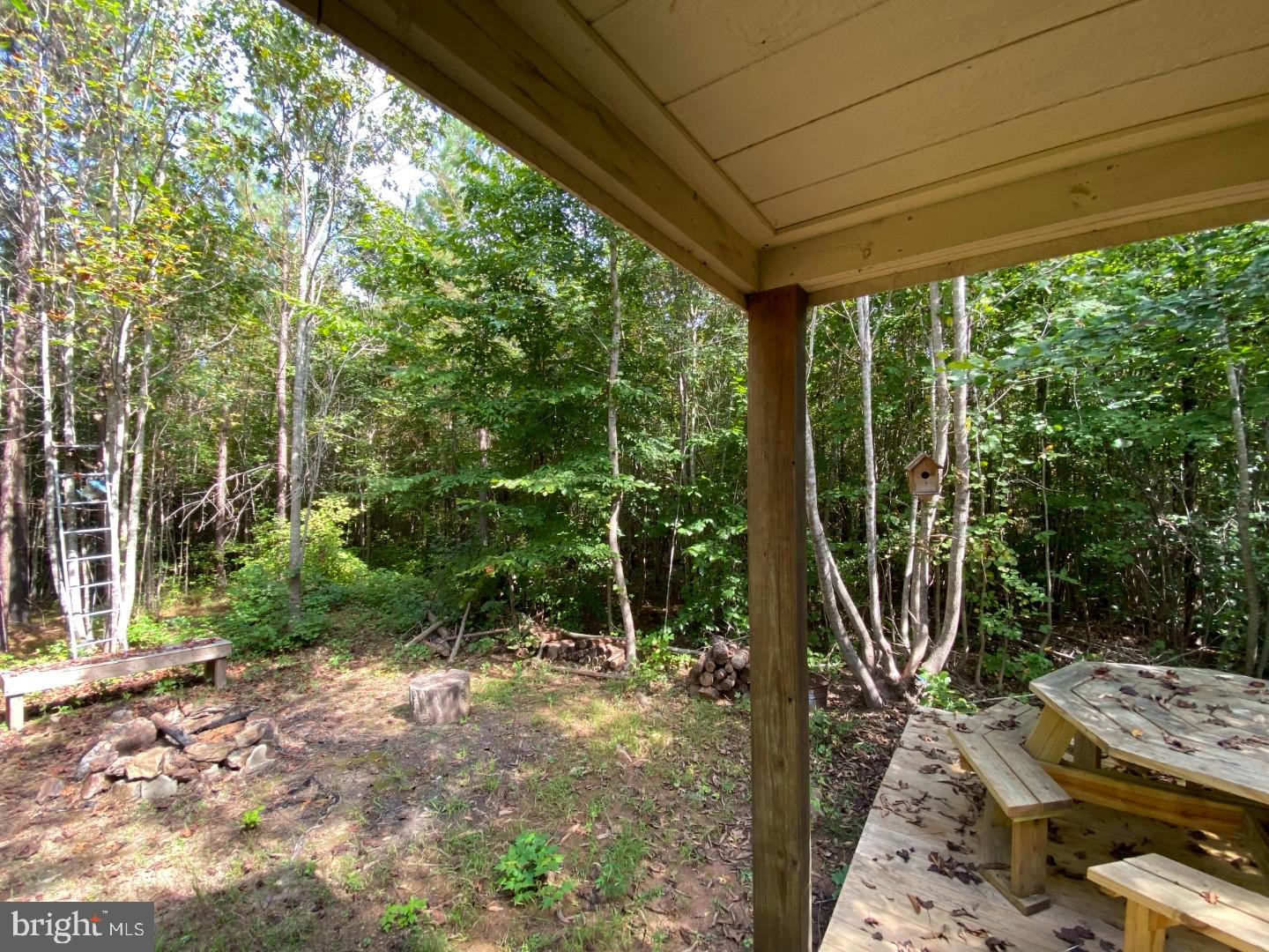 684 SQUIRREL HOLLOW RD, ALBERTA, Virginia 23821, ,Land,For sale,684 SQUIRREL HOLLOW RD,VABW2000088 MLS # VABW2000088