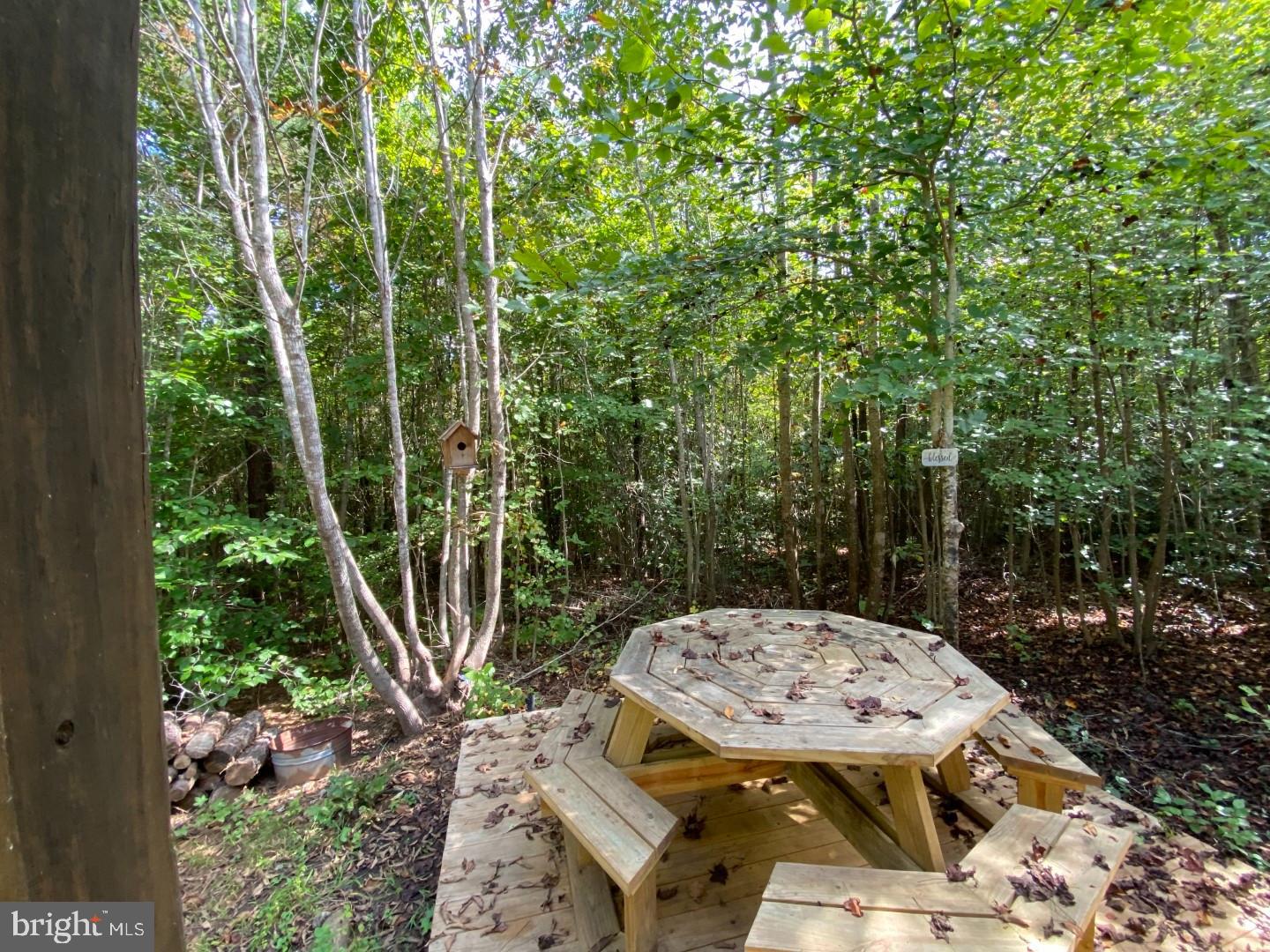 684 SQUIRREL HOLLOW RD, ALBERTA, Virginia 23821, ,Land,For sale,684 SQUIRREL HOLLOW RD,VABW2000088 MLS # VABW2000088
