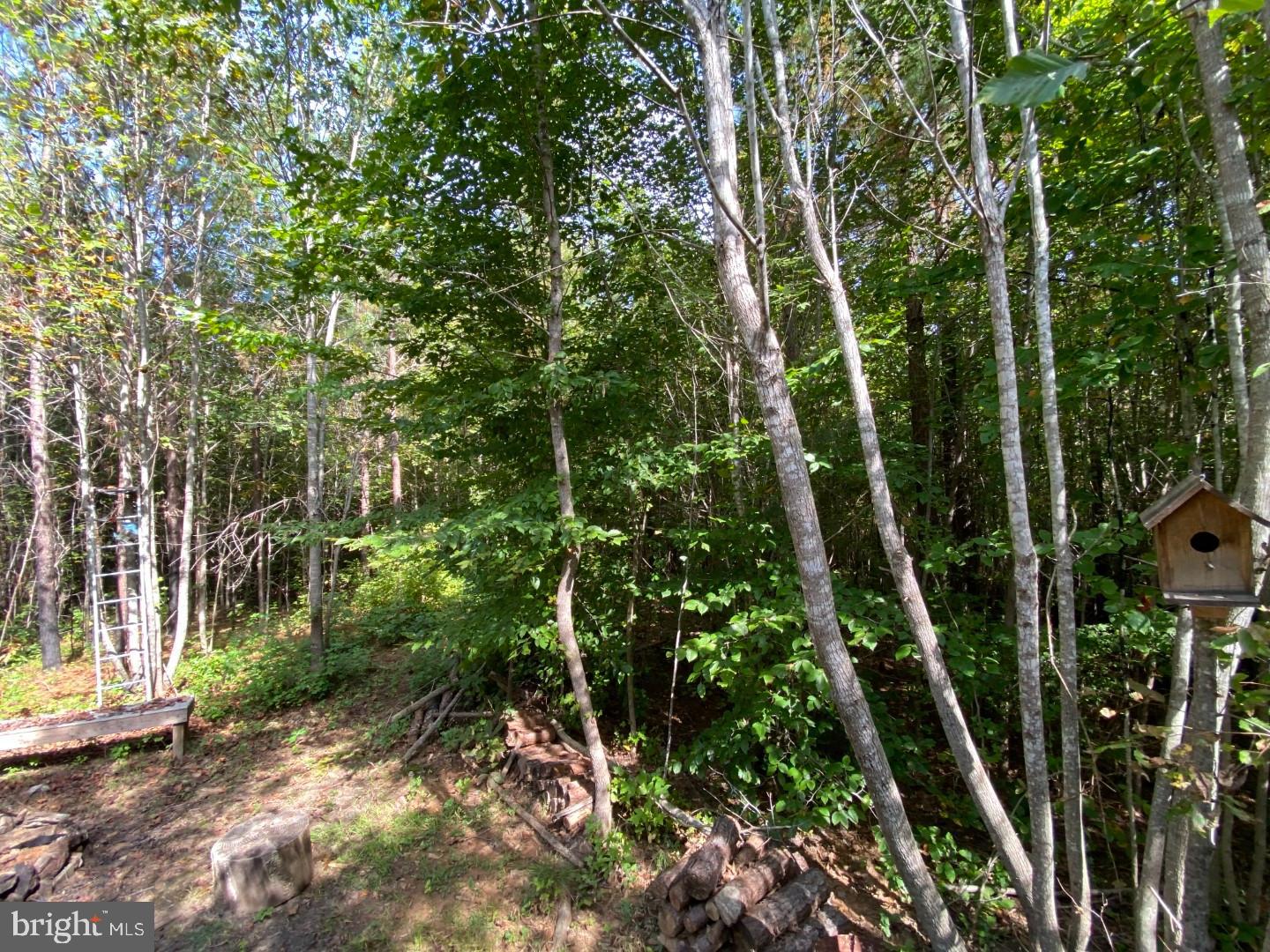 684 SQUIRREL HOLLOW RD, ALBERTA, Virginia 23821, ,Land,For sale,684 SQUIRREL HOLLOW RD,VABW2000088 MLS # VABW2000088