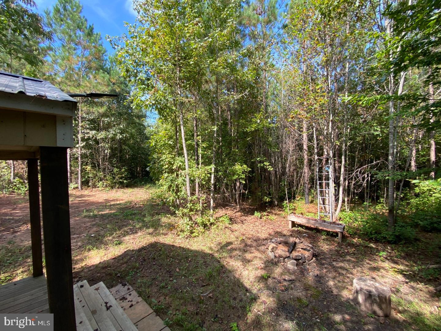 684 SQUIRREL HOLLOW RD, ALBERTA, Virginia 23821, ,Land,For sale,684 SQUIRREL HOLLOW RD,VABW2000088 MLS # VABW2000088