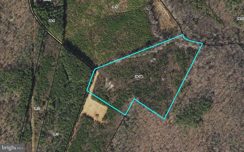 684 SQUIRREL HOLLOW RD, ALBERTA, Virginia 23821, ,Land,For sale,684 SQUIRREL HOLLOW RD,VABW2000088 MLS # VABW2000088