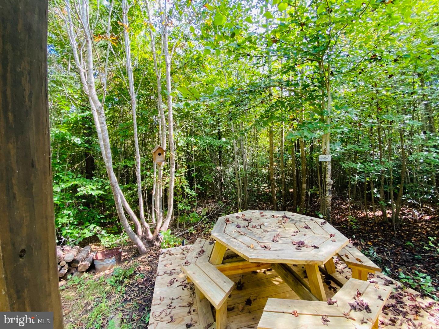 684 SQUIRREL HOLLOW RD, ALBERTA, Virginia 23821, ,Land,For sale,684 SQUIRREL HOLLOW RD,VABW2000088 MLS # VABW2000088