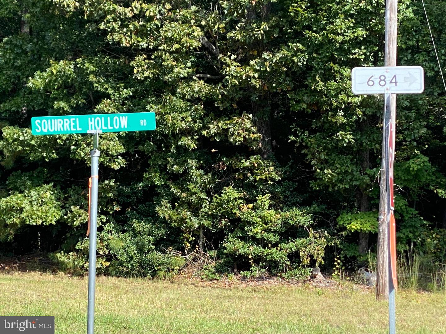 684 SQUIRREL HOLLOW RD, ALBERTA, Virginia 23821, ,Land,For sale,684 SQUIRREL HOLLOW RD,VABW2000088 MLS # VABW2000088