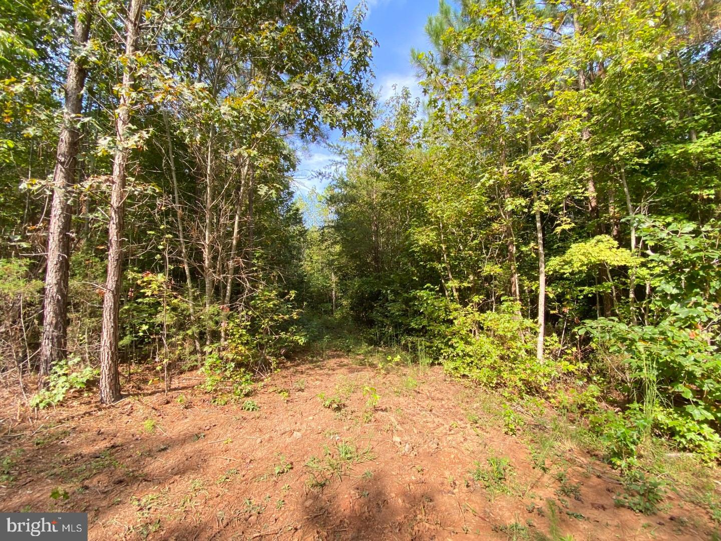 684 SQUIRREL HOLLOW RD, ALBERTA, Virginia 23821, ,Land,For sale,684 SQUIRREL HOLLOW RD,VABW2000088 MLS # VABW2000088